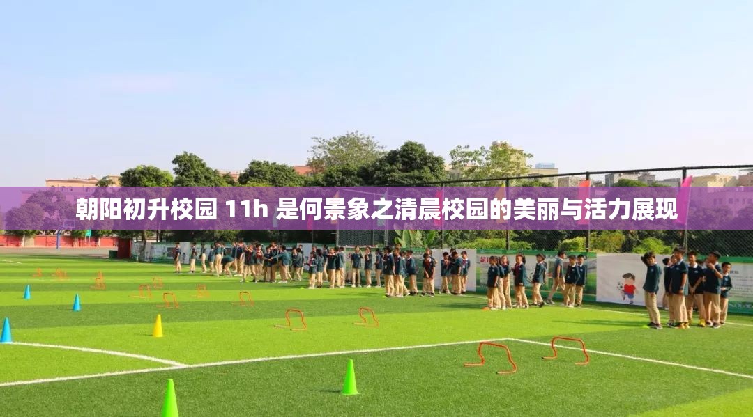 朝阳初升校园 11h 是何景象之清晨校园的美丽与活力展现