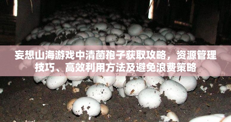 妄想山海游戏中清菌孢子获取攻略，资源管理技巧、高效利用方法及避免浪费策略
