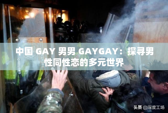 中国 GAY 男男 GAYGAY：探寻男性同性恋的多元世界