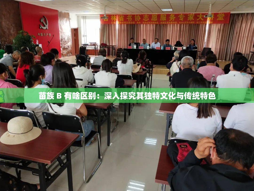 苗族 B 有啥区别：深入探究其独特文化与传统特色