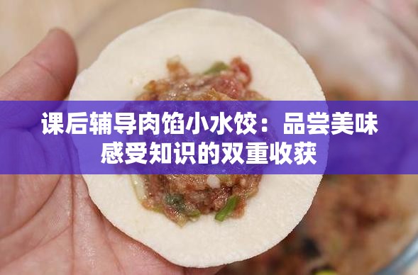 课后辅导肉馅小水饺：品尝美味感受知识的双重收获