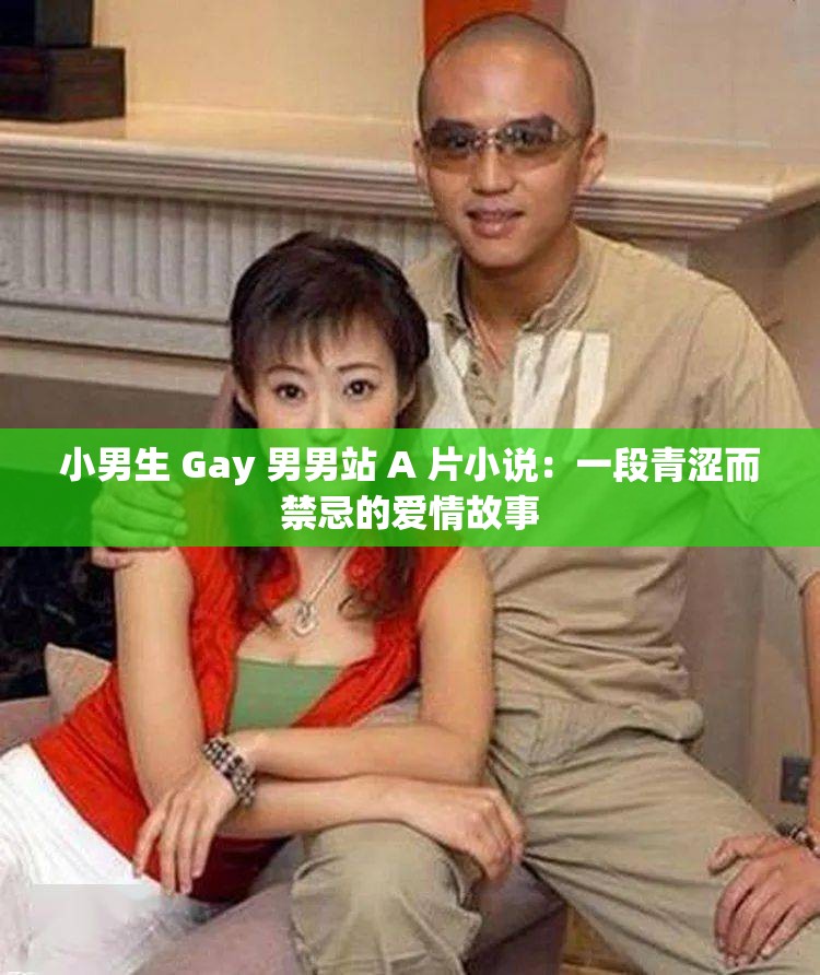 小男生 Gay 男男站 A 片小说：一段青涩而禁忌的爱情故事