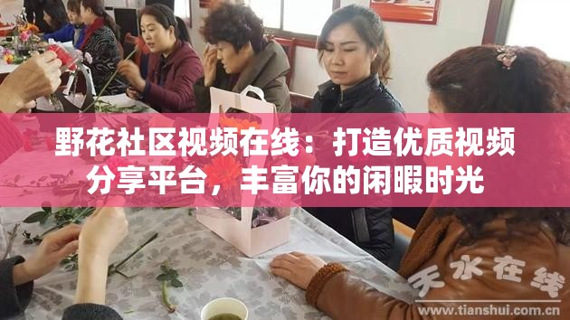 野花社区视频在线：打造优质视频分享平台，丰富你的闲暇时光