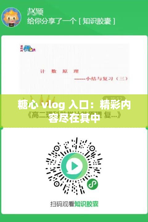 糖心 vlog 入口：精彩内容尽在其中