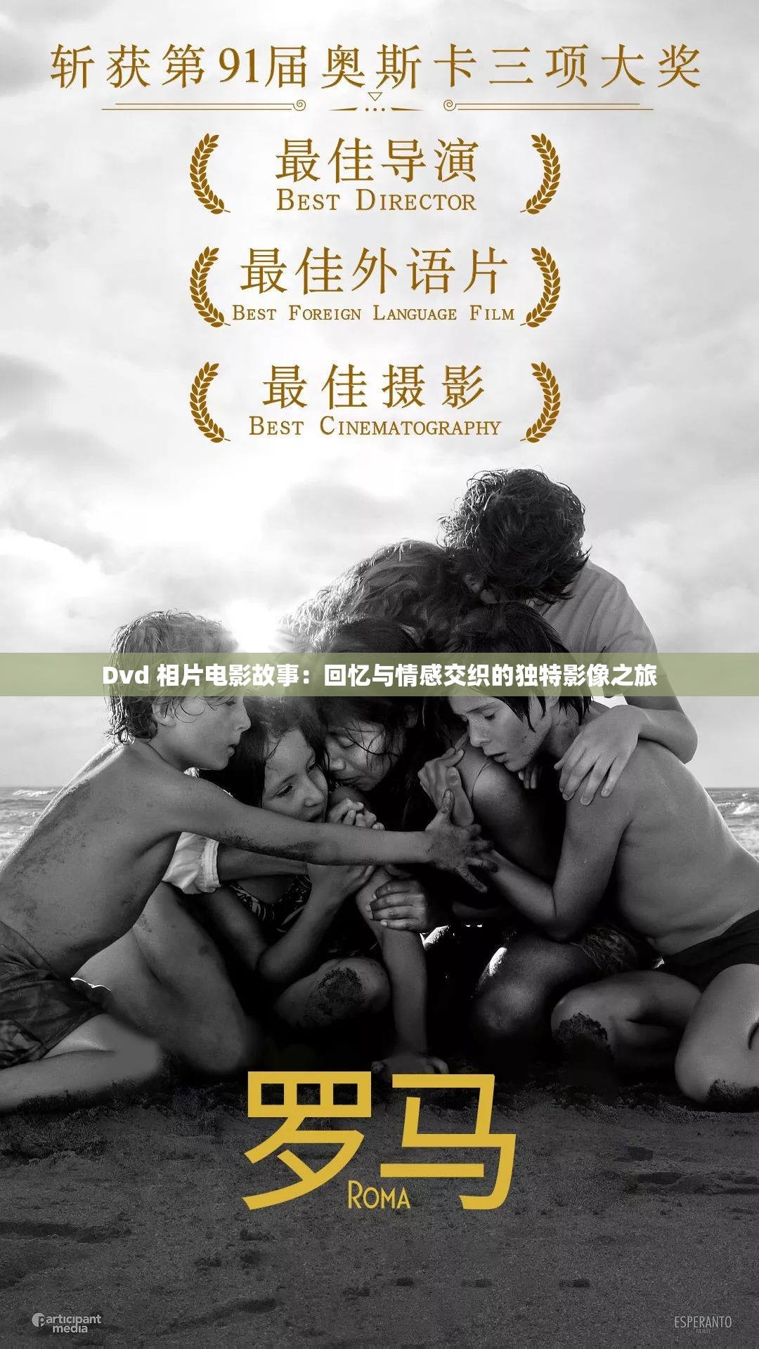 Dvd 相片电影故事：回忆与情感交织的独特影像之旅