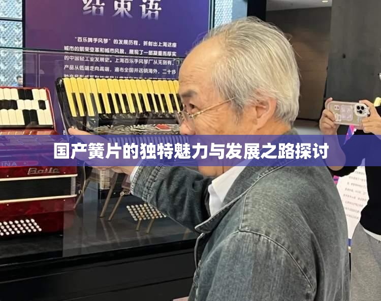国产簧片的独特魅力与发展之路探讨