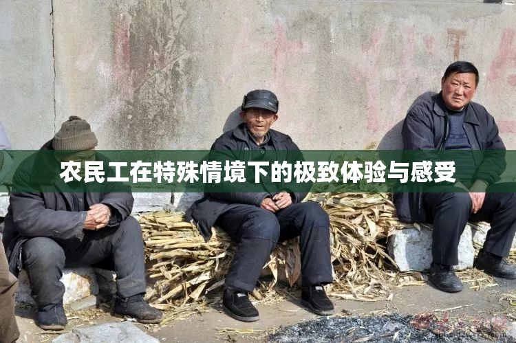 农民工在特殊情境下的极致体验与感受
