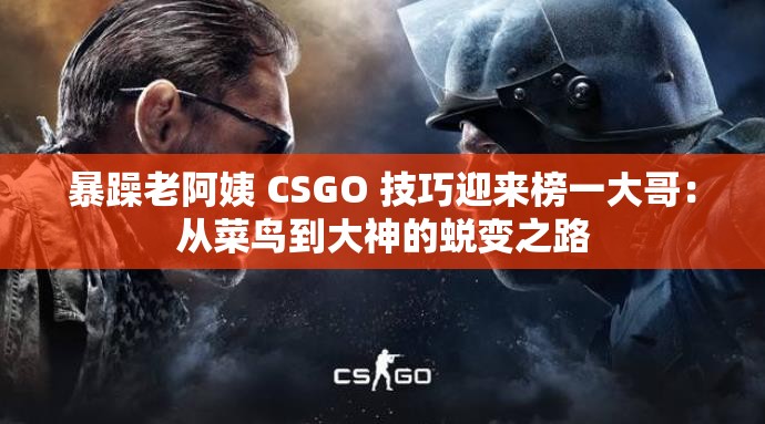 暴躁老阿姨 CSGO 技巧迎来榜一大哥：从菜鸟到大神的蜕变之路