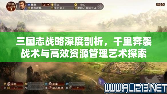 三国志战略深度剖析，千里奔袭战术与高效资源管理艺术探索
