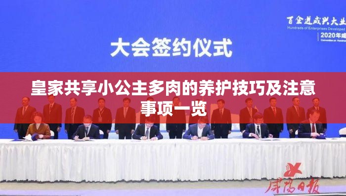 皇家共享小公主多肉的养护技巧及注意事项一览