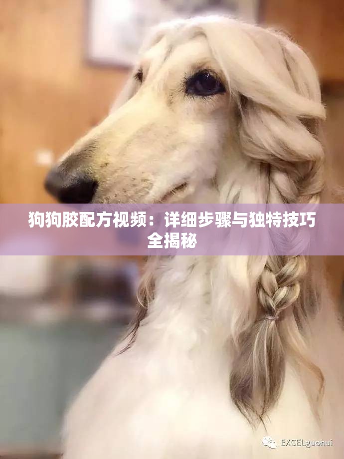 狗狗胶配方视频：详细步骤与独特技巧全揭秘