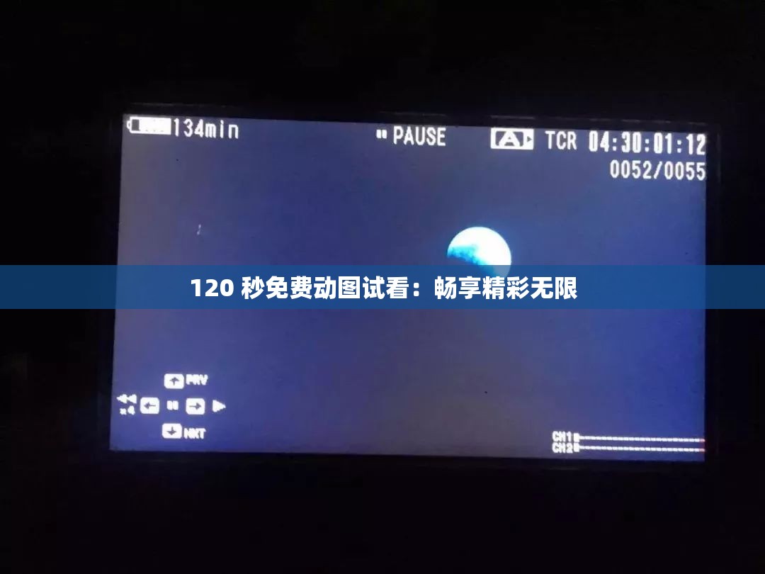 120 秒免费动图试看：畅享精彩无限