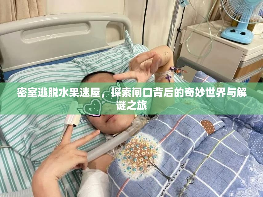 密室逃脱水果迷屋，探索闸口背后的奇妙世界与解谜之旅