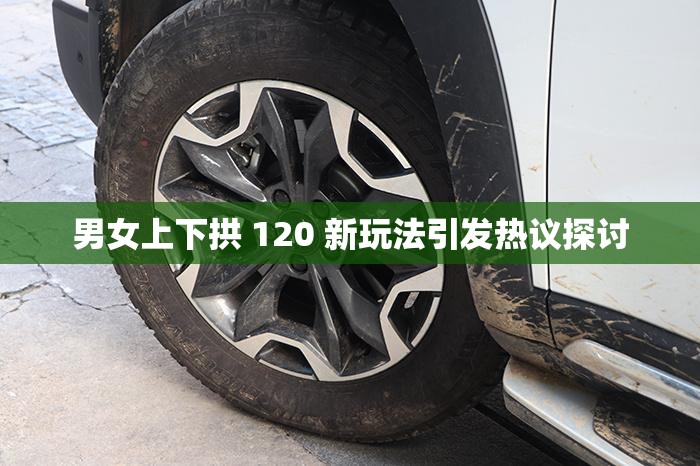 男女上下拱 120 新玩法引发热议探讨