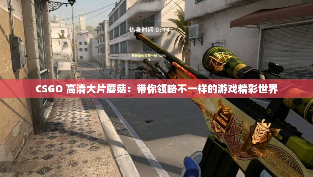 CSGO 高清大片蘑菇：带你领略不一样的游戏精彩世界