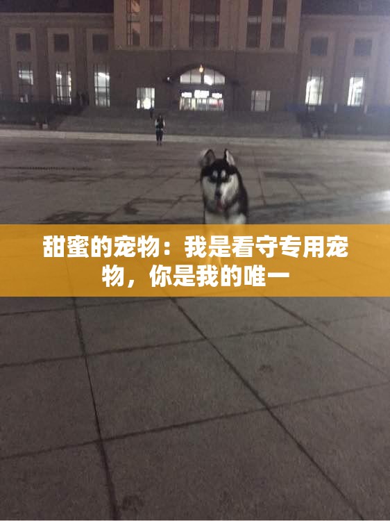 甜蜜的宠物：我是看守专用宠物，你是我的唯一