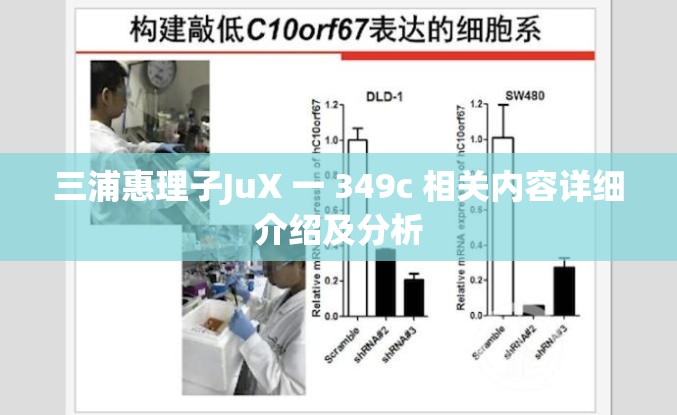 三浦惠理子JuX 一 349c 相关内容详细介绍及分析