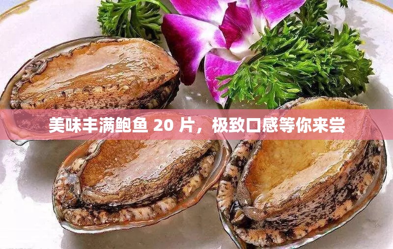 美味丰满鲍鱼 20 片，极致口感等你来尝