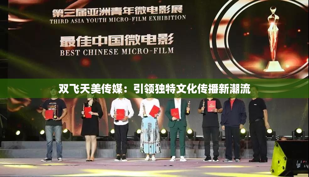 双飞天美传媒：引领独特文化传播新潮流