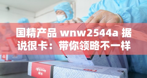 国精产品 wnw2544a 据说很卡：带你领略不一样的卡顿体验
