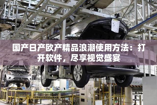 国产日产欧产精品浪潮使用方法：打开软件，尽享视觉盛宴