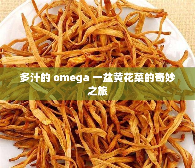多汁的 omega 一盆黄花菜的奇妙之旅