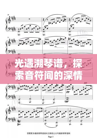 光遇溯琴谱，探索音符间的深情，体验一场音乐与灵魂的唯美浪漫邂逅