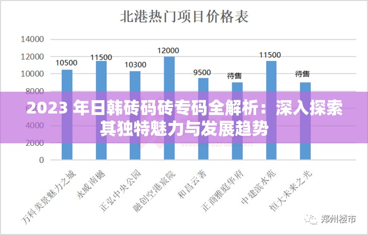 2023 年日韩砖码砖专码全解析：深入探索其独特魅力与发展趋势