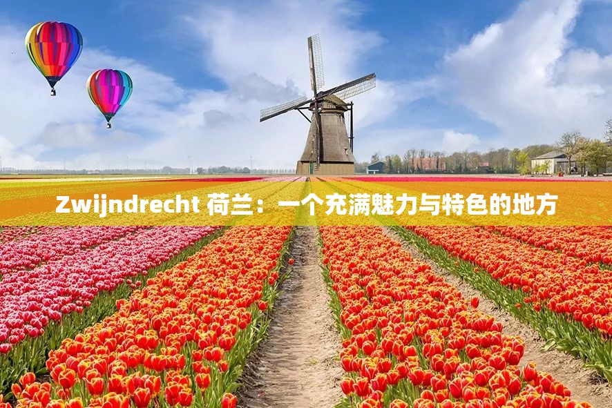 Zwijndrecht 荷兰：一个充满魅力与特色的地方