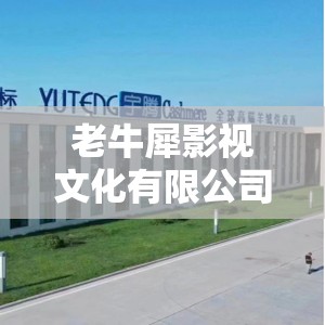 老牛犀影视文化有限公司介绍：专注影视创新与卓越品质追求