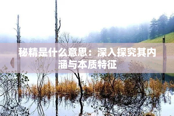 秘精是什么意思：深入探究其内涵与本质特征