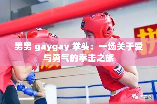 男男 gaygay 拳头：一场关于爱与勇气的拳击之旅