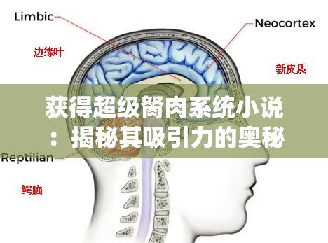 获得超级胬肉系统小说：揭秘其吸引力的奥秘