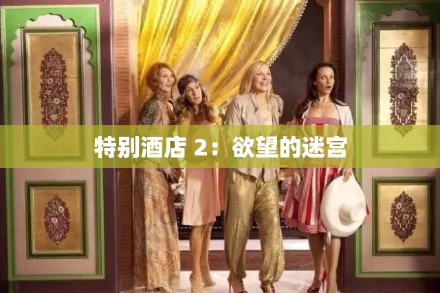 特别酒店 2：欲望的迷宫