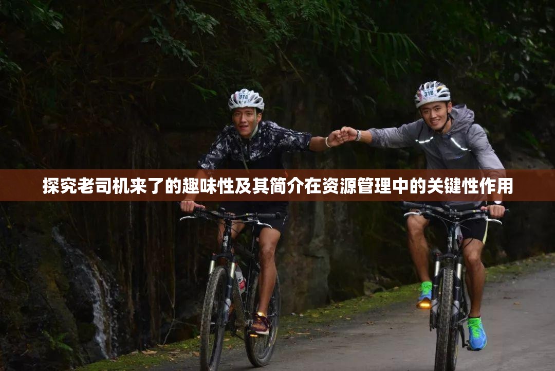探究老司机来了的趣味性及其简介在资源管理中的关键性作用