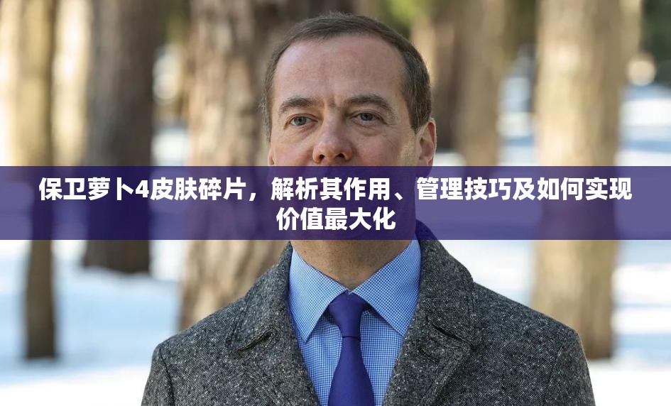 保卫萝卜4皮肤碎片，解析其作用、管理技巧及如何实现价值最大化