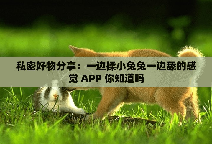 私密好物分享：一边揉小兔兔一边舔的感觉 APP 你知道吗