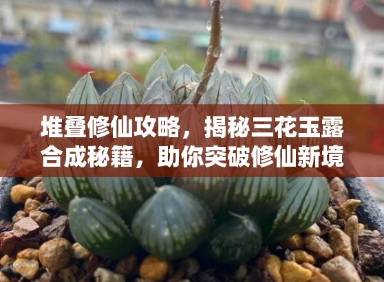 堆叠修仙攻略，揭秘三花玉露合成秘籍，助你突破修仙新境界