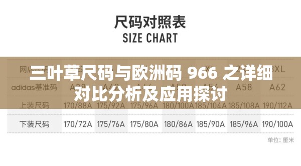 三叶草尺码与欧洲码 966 之详细对比分析及应用探讨