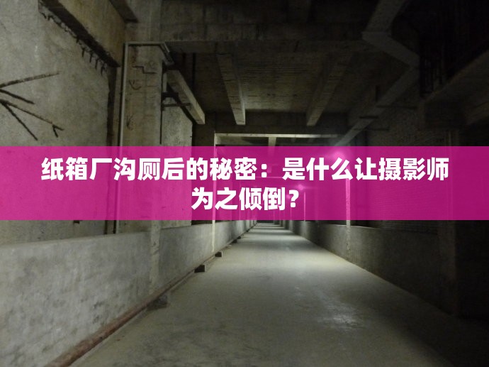 纸箱厂沟厕后的秘密：是什么让摄影师为之倾倒？