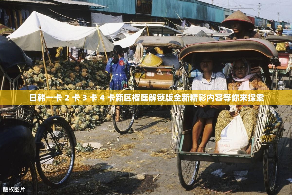 日韩一卡 2 卡 3 卡 4 卡新区榴莲解锁版全新精彩内容等你来探索