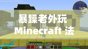 暴躁老外玩 Minecraft 法：游戏世界的疯狂探索与挑战