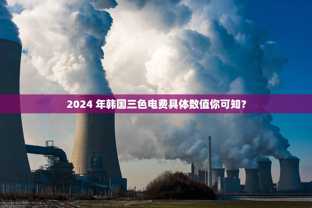2024 年韩国三色电费具体数值你可知？