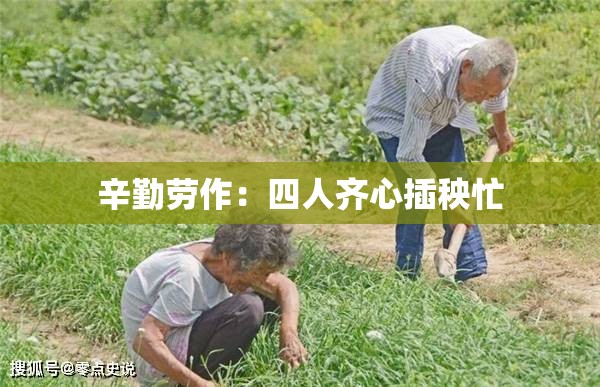 辛勤劳作：四人齐心插秧忙
