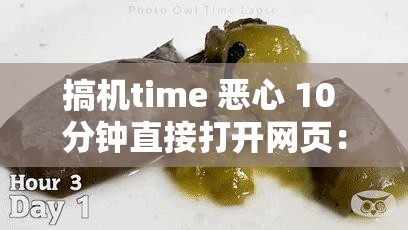 搞机time 恶心 10 分钟直接打开网页：背后隐藏的真相令人震惊