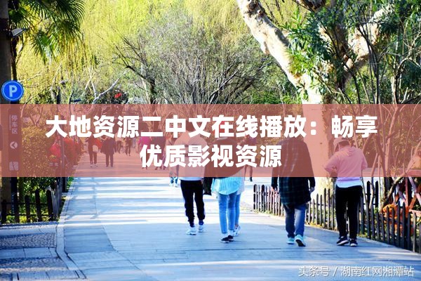 大地资源二中文在线播放：畅享优质影视资源