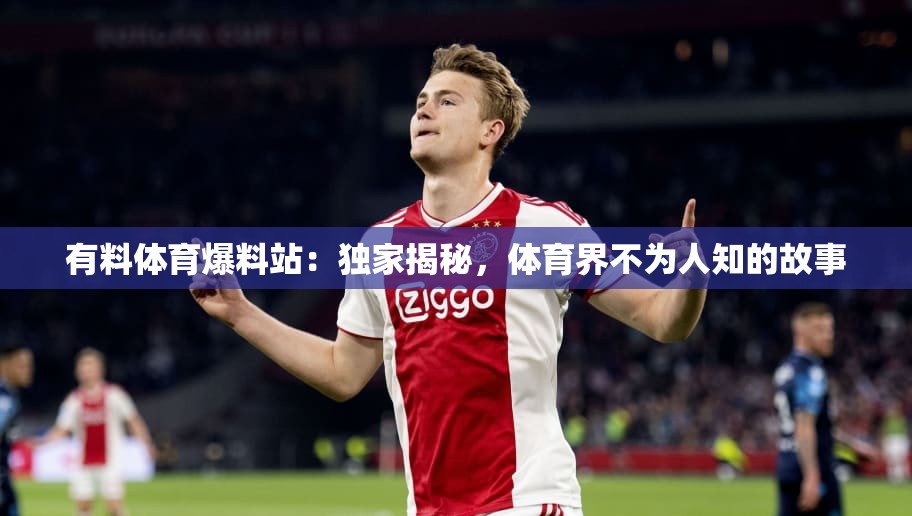 有料体育爆料站：独家揭秘，体育界不为人知的故事