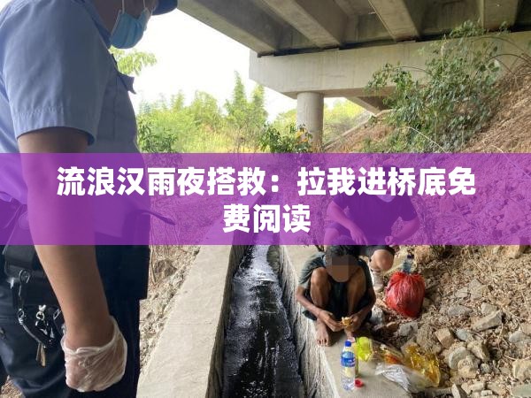 流浪汉雨夜搭救：拉我进桥底免费阅读