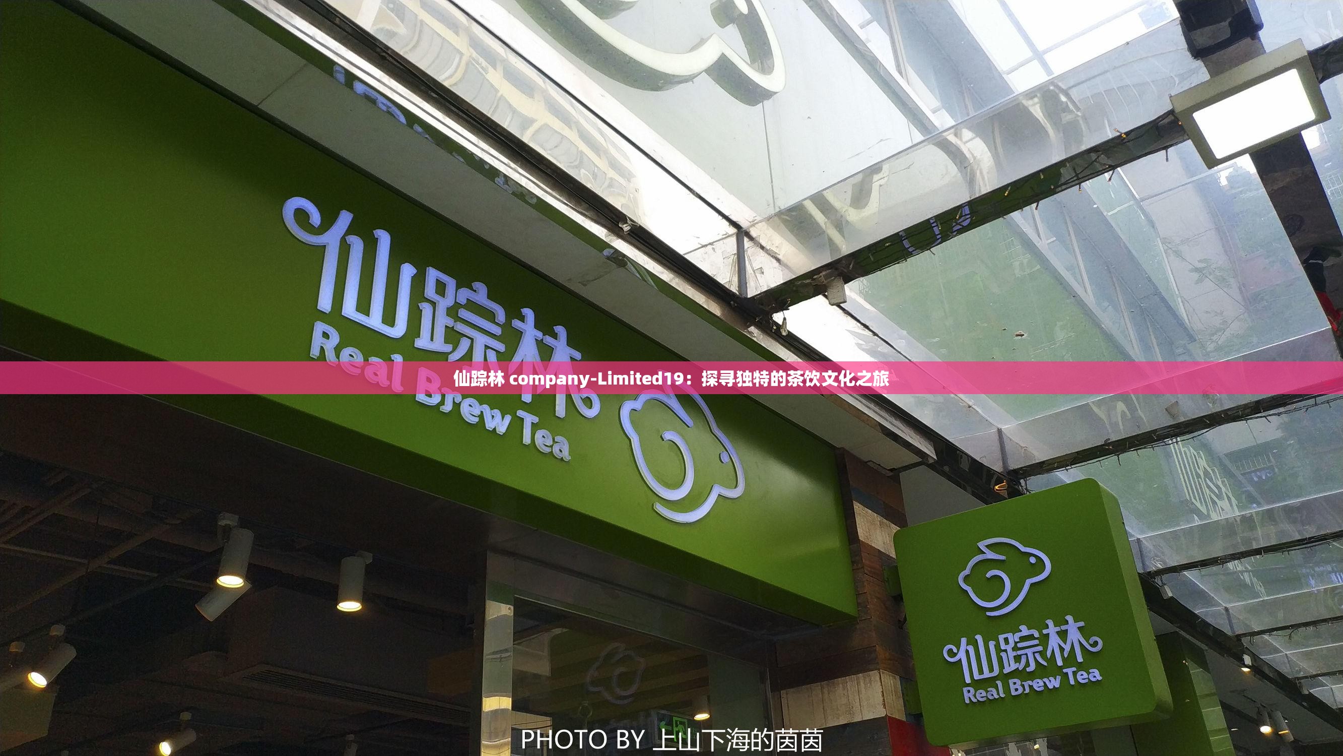 仙踪林 company-Limited19：探寻独特的茶饮文化之旅