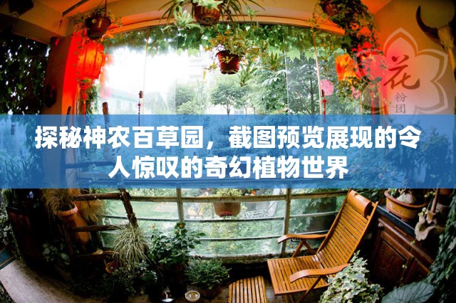探秘神农百草园，截图预览展现的令人惊叹的奇幻植物世界